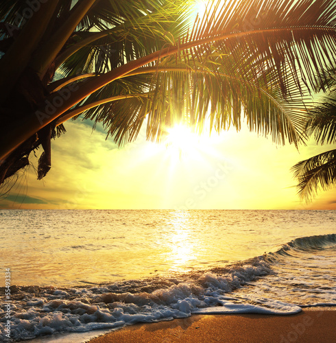 Naklejka dekoracyjna Tropikalna plaża o zachodzie słońca