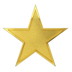 brushed golden star award