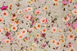 Vintage texture with Pink Flax flowers