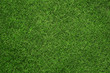 canvas print picture - Close up of green grass texture, background with copy space