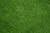 Close up of green grass texture, background with copy space