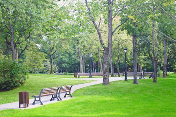 Sunny park and benches