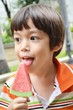 Little boy eating ice cream watermelon
