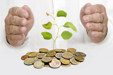 Investing to green business