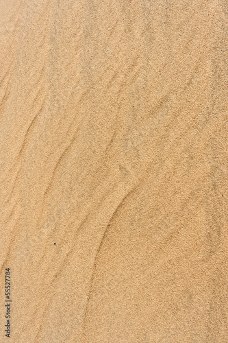 Fototapeta na wymiar closeup of sand pattern of a beach in the summer