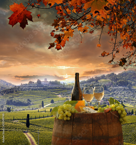 Fototapeta na wymiar White wine with barell in vineyard, Chianti, Tuscany, Italy