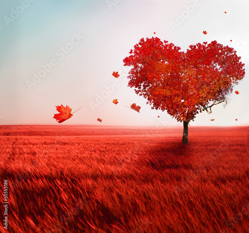 Tree of love © Lilya