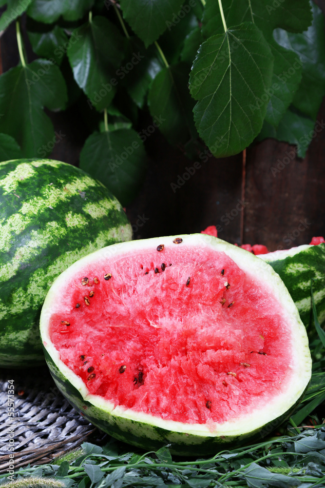 Ripe watermelons on wicker tray on grass near fence