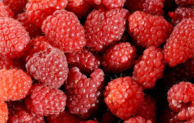 Red raspberry