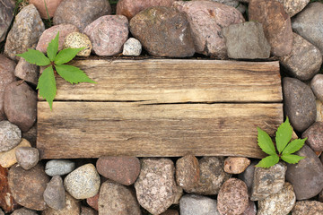 wood and stone background with vine leaves