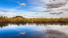 Amazing Everglades Panorama