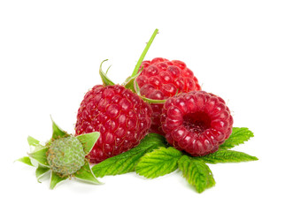 Poster - fresh raspberries