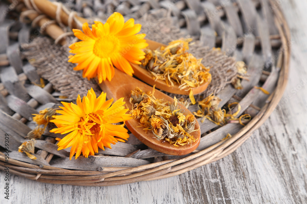 Fresh and dried calendula flowers on wooden background