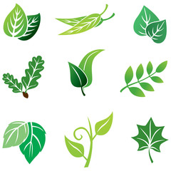 Poster - Color leaves set