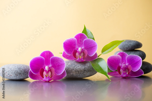 kamienie-spa-z-kwiatami
