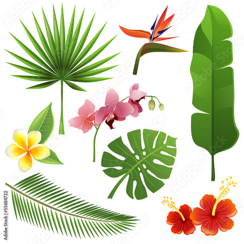 Naklejka - mata magnetyczna na lodówkę Tropical plants