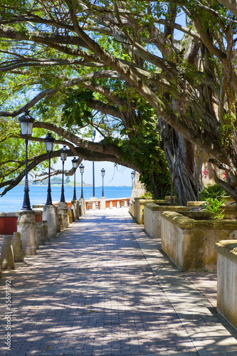 Naklejka na drzwi Park In San Juan