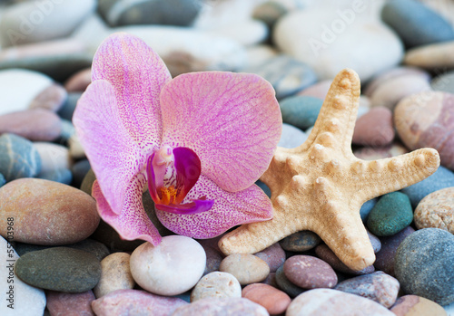 Naklejka dekoracyjna beach stones