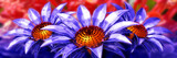 Fototapeta Kwiaty - beauty 3d flower panoramic