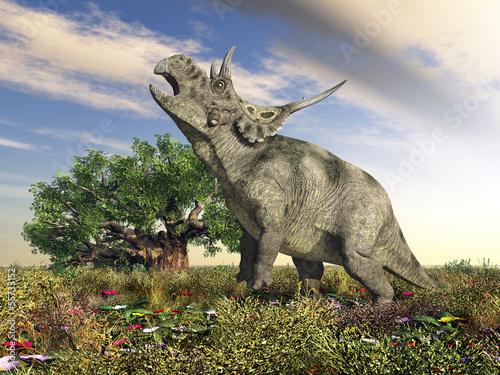 Obraz w ramie Dinosaurier Diabloceratops