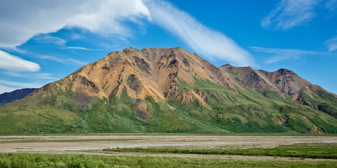 Denali National Park