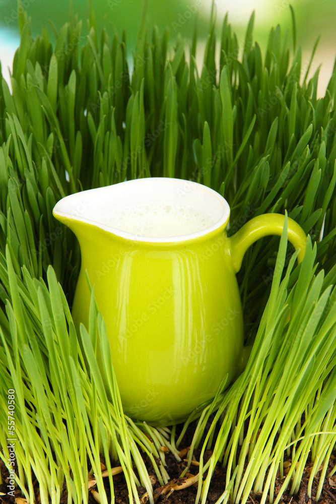Pitcher of milk standing on grass close up