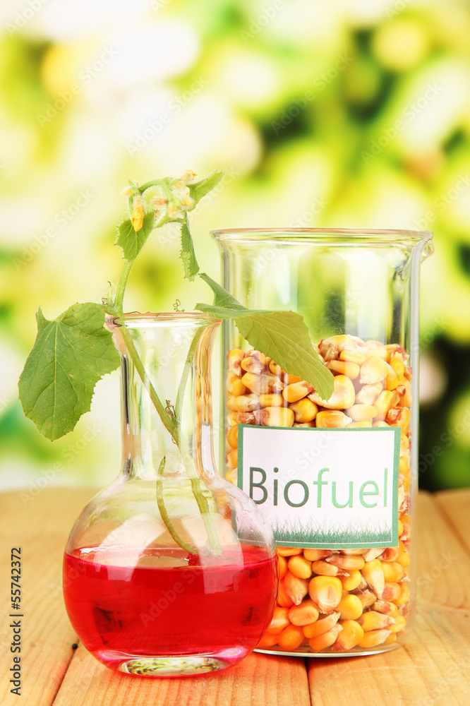 Conceptual photo of bio fuel.  On bright background
