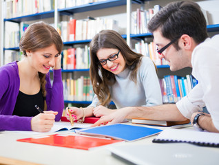 Wall Mural - Students in a library