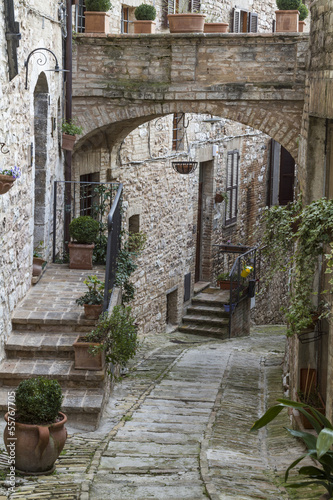 Naklejka - mata magnetyczna na lodówkę Gasse in Spello