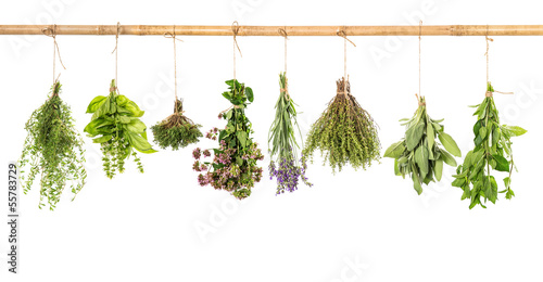 Naklejka dekoracyjna varios fresh herbs isolated on white