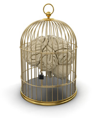 Poster - Gold Cage with Human brain (clipping path included)