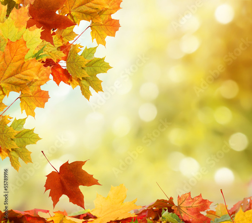 Naklejka dekoracyjna autumn background