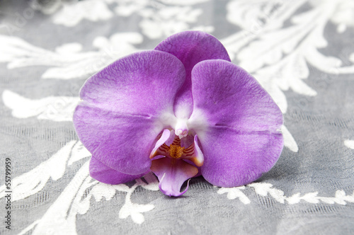 rozowa-orchidea-na-bialej-koronce