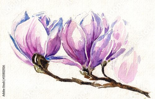 Obraz w ramie Fresh, pink, spring magnolia tree blossoms