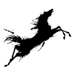 Fotoroleta wyścig grzywa sztuka koń