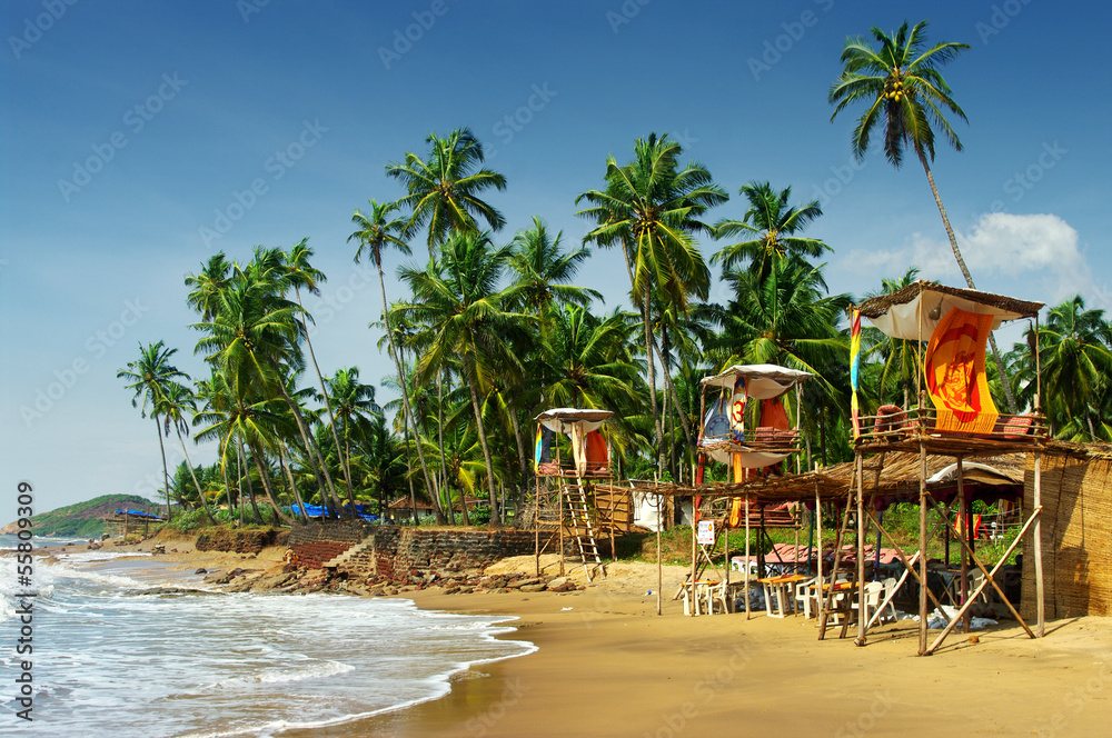 Goa's idyllic beach - obrazy, fototapety, plakaty 