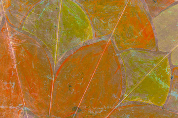 Fototapete - Grunge colorful background