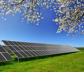 Wall Mural - solar energy panels against blue sky