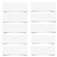 Sticker - set of various note papers