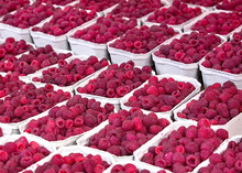 Boxes Of Ripe Raspberries At Farmer Market Stall