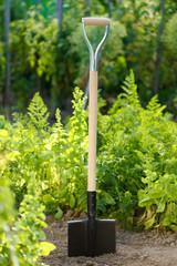 Spade in soil