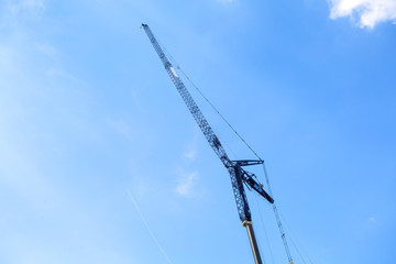 Crane