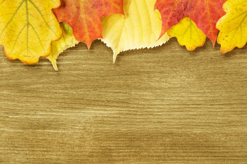 Wall Mural - Different autumn leaves opn gold wood plank