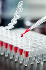 Wall Mural - loading of pcr samples in numbered plastic tubes
