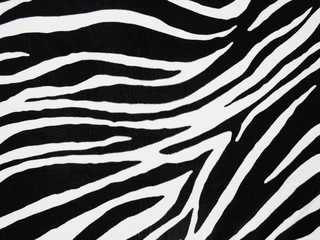 zebra texture