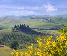 Wall Mural - Toskana Haus - Tuscany house 18