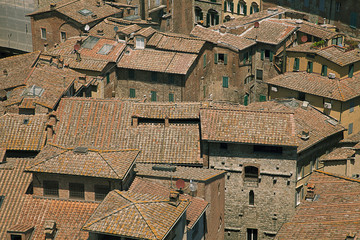 Fototapete - Typical house roofs in Siena, Italy