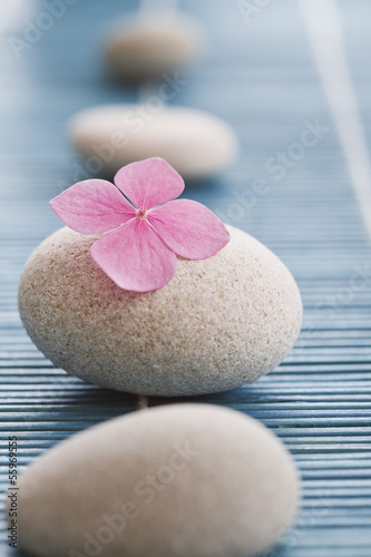 Fototapeta na wymiar Zen stones and pink flowers