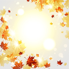 Wall Mural - bright autumn background with maple leaves