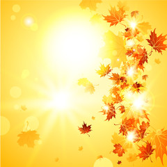 Wall Mural - beautiful fall background with falling leaves